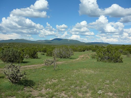 Property photo 7 - 7,320 Acres Offered in 5 Tracts